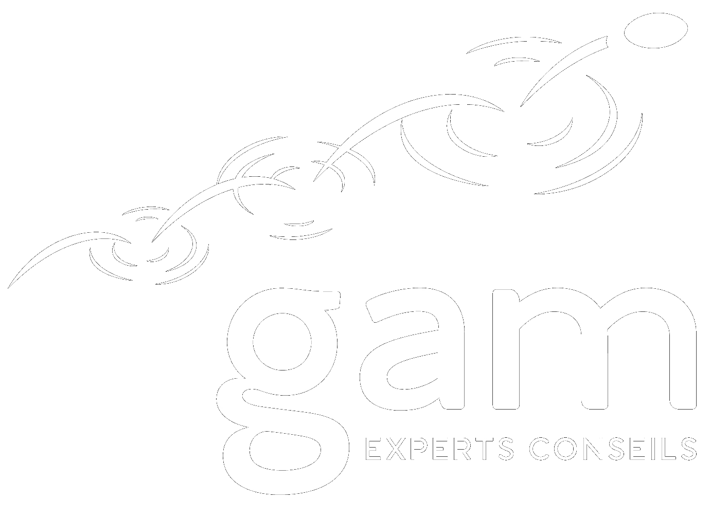 GAM Experts Conseils